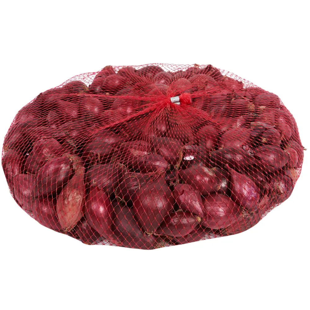 Лук-севок Кармен красный 0.5 кг 83249097 STLM-2144135 Santreyd 