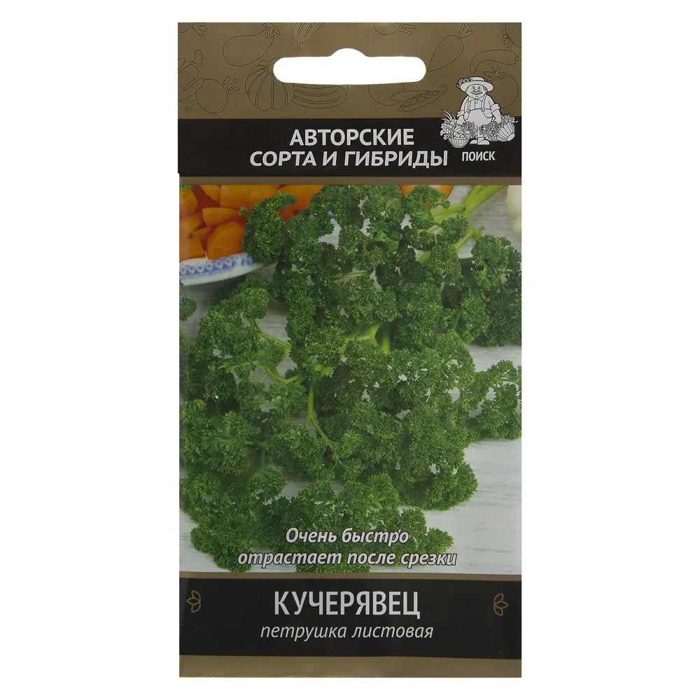 ПОИСК Петрушка Кучерявец - ароматная зелень для сада и кухни 17235017 STLM-0007761