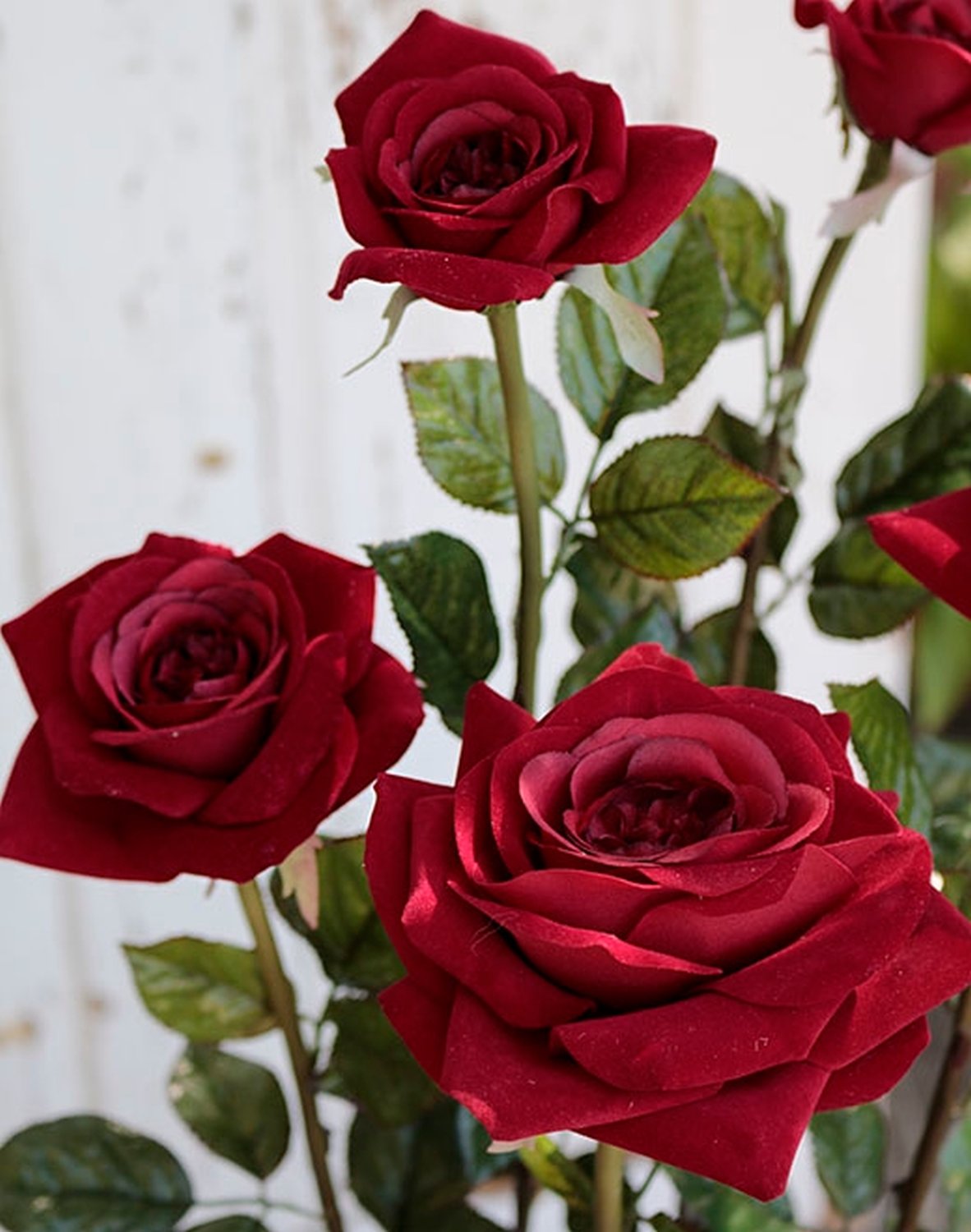 2619 444 a3 Набор искусственных роз, 5 шт, 68 см, красные H-andreas  - Вид №2