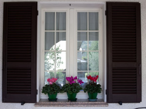 Твердые деревянные ставни