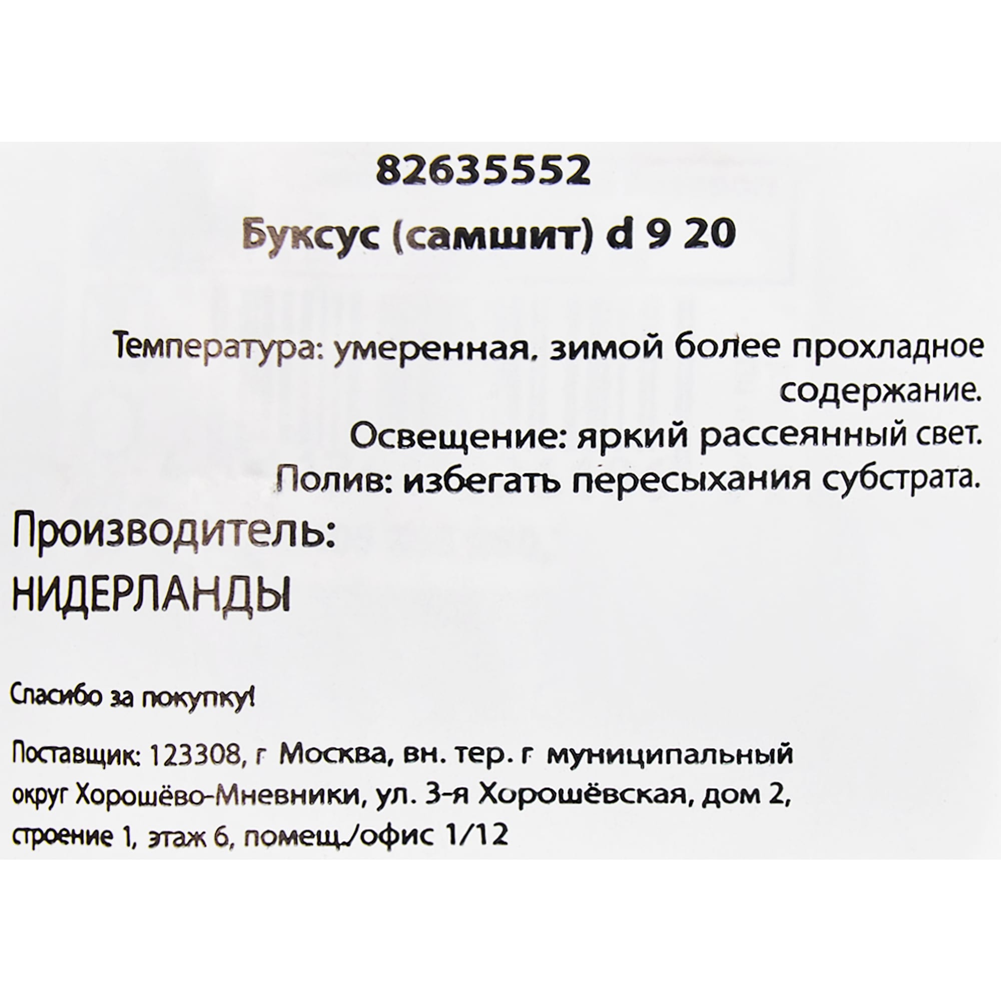 82635552 Буксус (самшит) 9x20 см Santreyd  - Вид №1