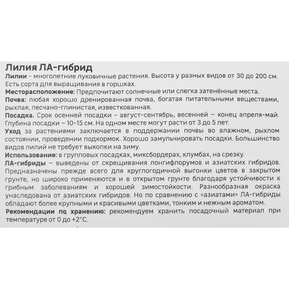 Лилия Geolia ла-гибрид Чайковский 86408638 STLM-2011128  - Вид №3