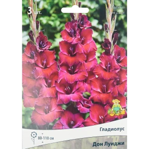 Гладиолус крупноцветковый Дон Луиджи, 3 шт 86410030 STLM-2123527