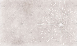 Carta da parati PVC free, eco-friendly, lavabile