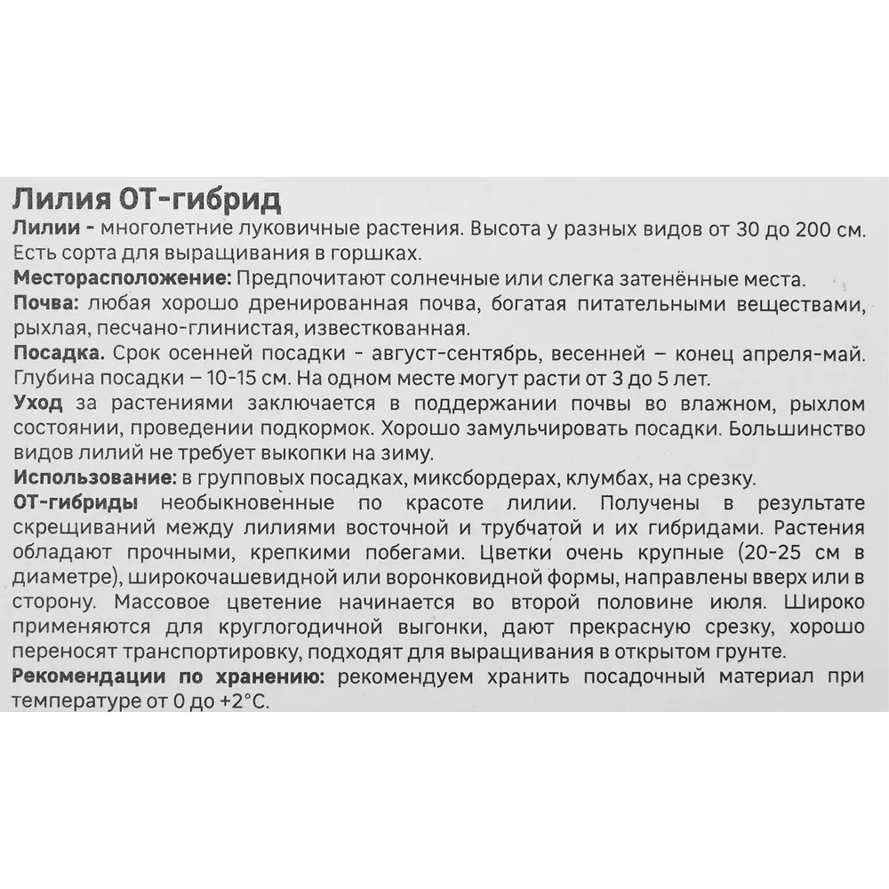 Лилия Geolia от-гибрид Пэшн Мун 86408654 STLM-2181193  - Вид №3