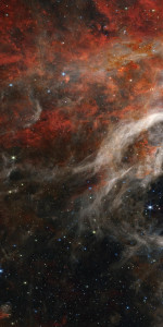 Декоративная панель из алюминия, стекла или ПММА