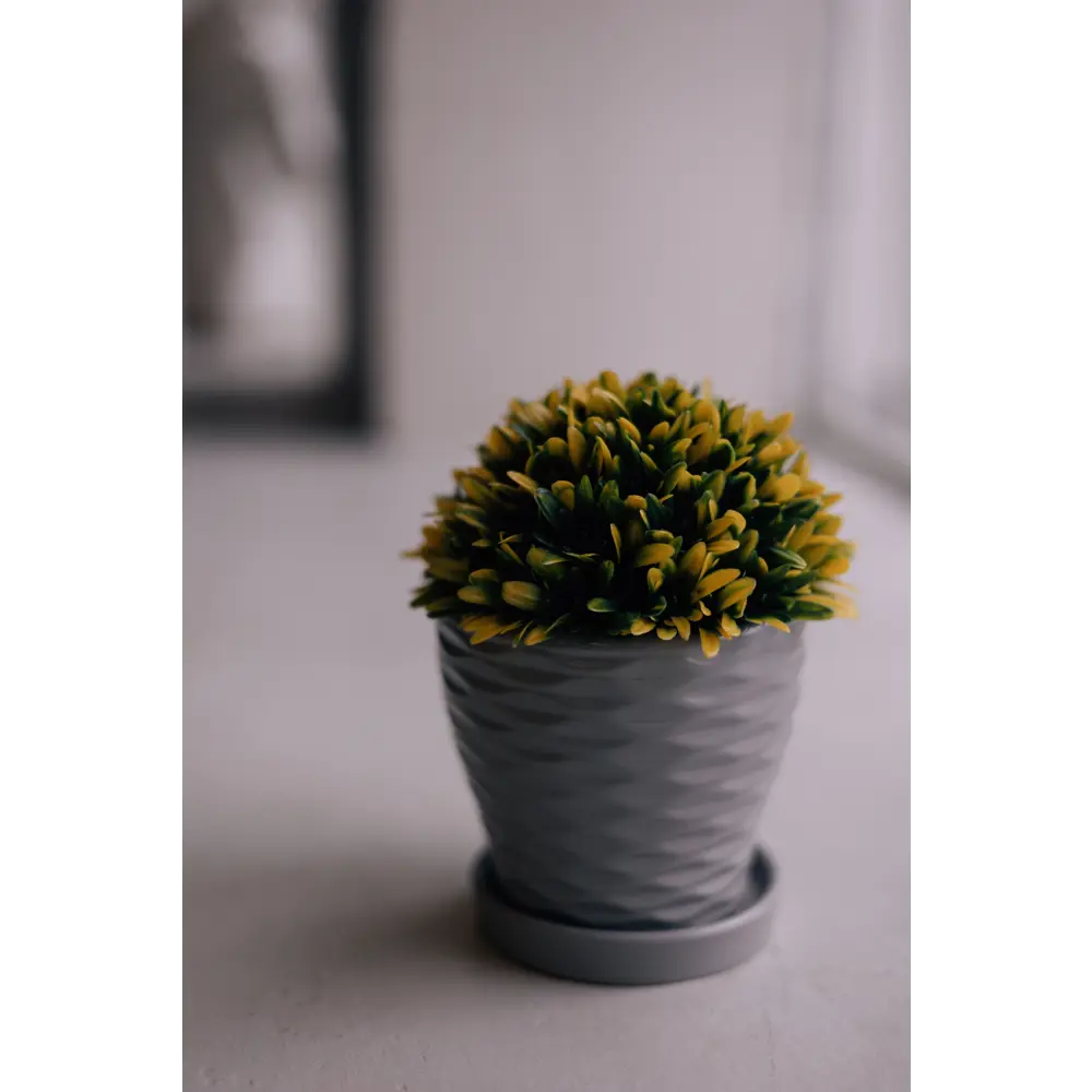 Santreyd Эллипс — керамический горшок для декоративных растений 89338008 Fdtc3 STLM-1495766 - Вид №5