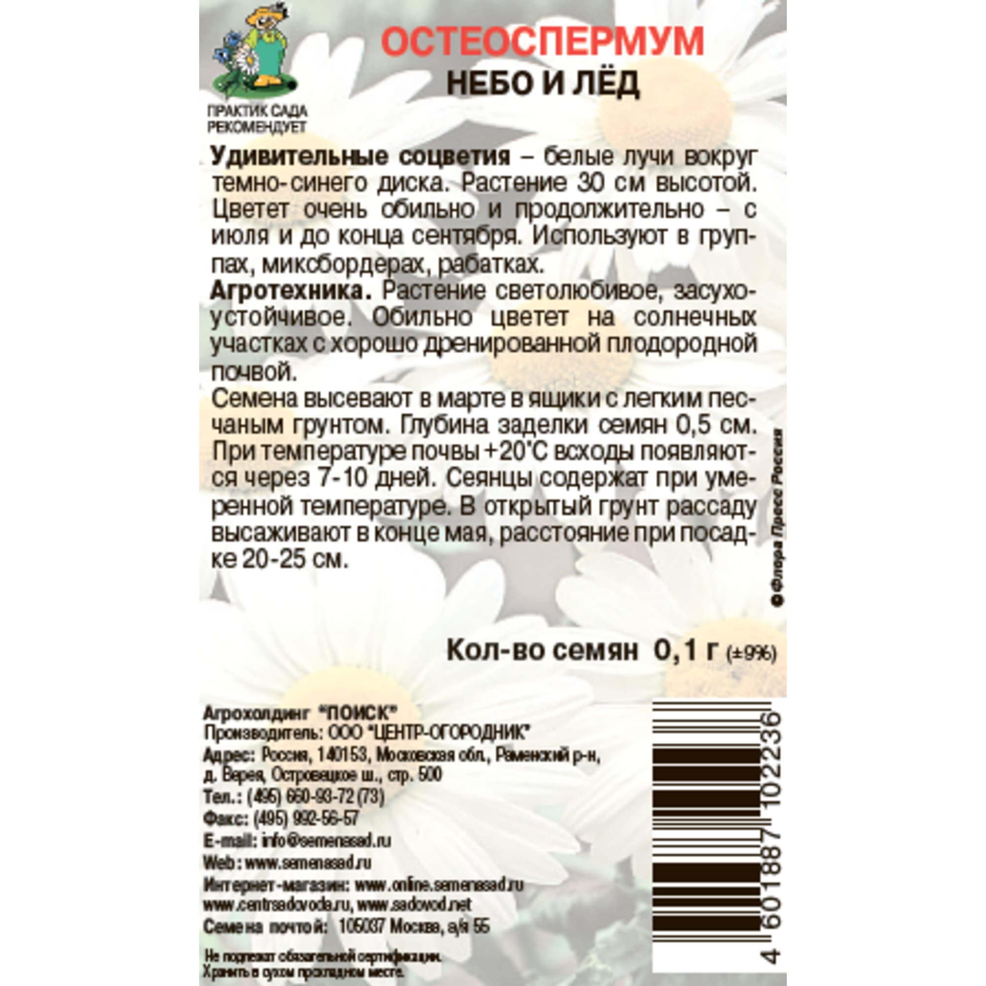 Остеоспермум Небо и лед - семена цветов ПОИСК для солнечного сада 83577543 STLM-0041947 - Вид №1