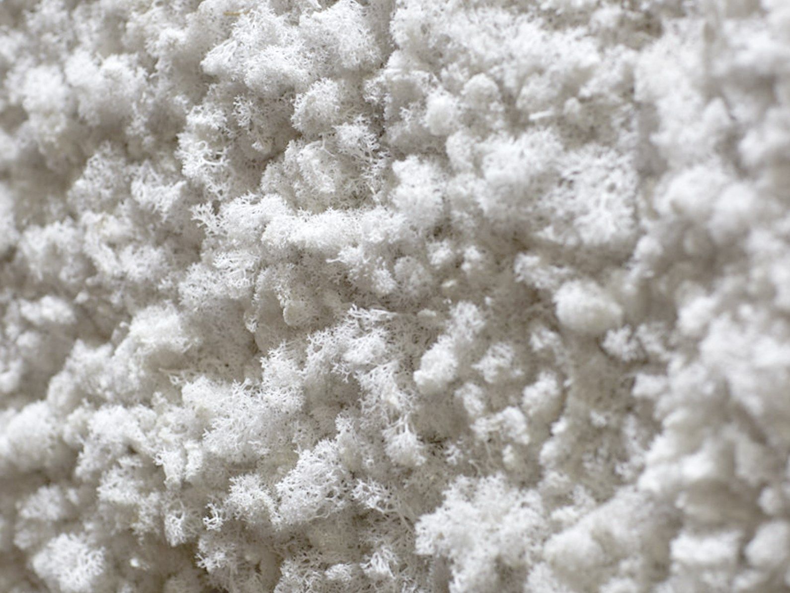 Растительная стена из мха Freund GmbH зеленый ARCH-00125792 - Вид №4