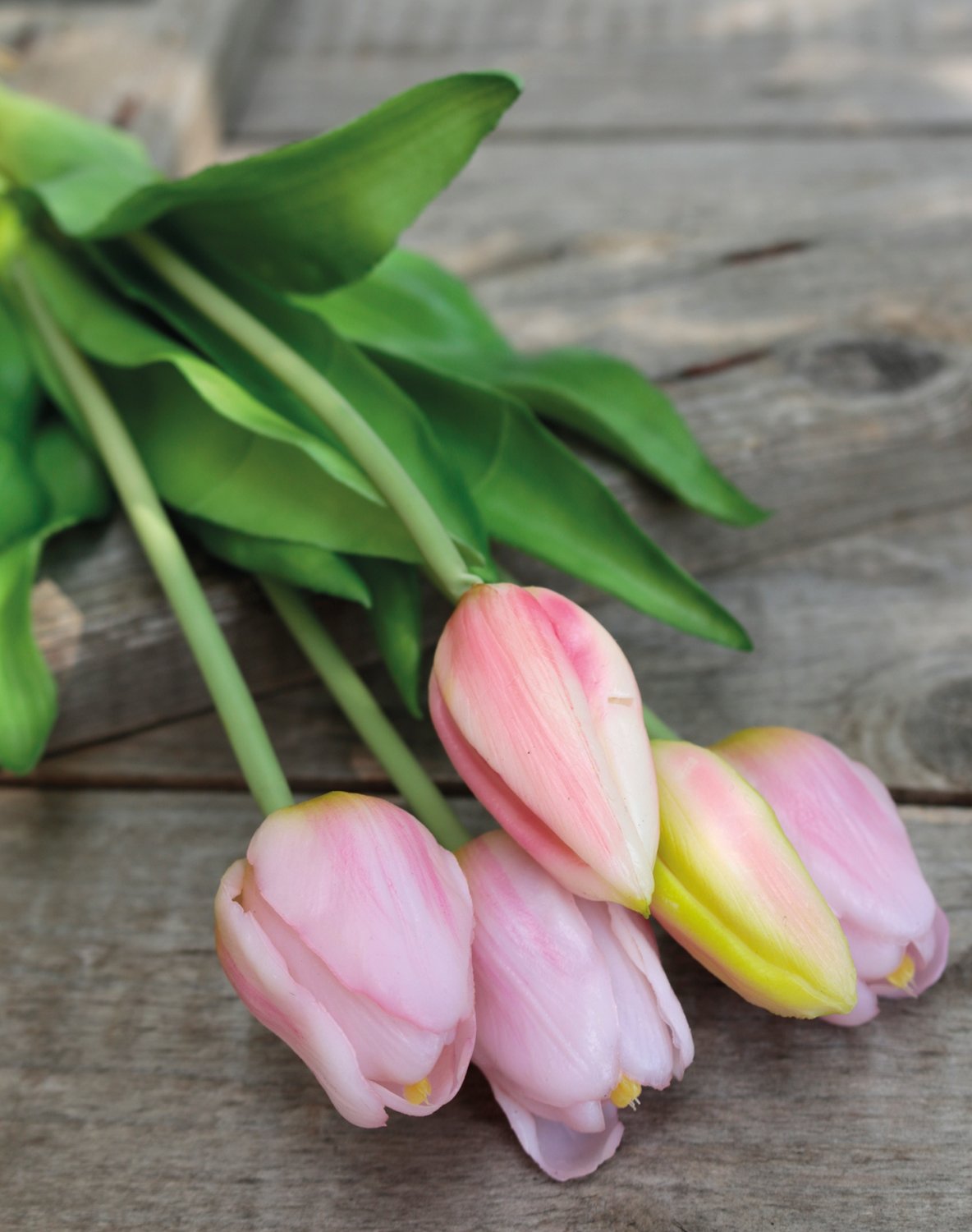 2952 508 a3 Букет искусственных тюльпанов, 5-кратный, 37 см, розово-зеленый H-andreas  - Вид №5