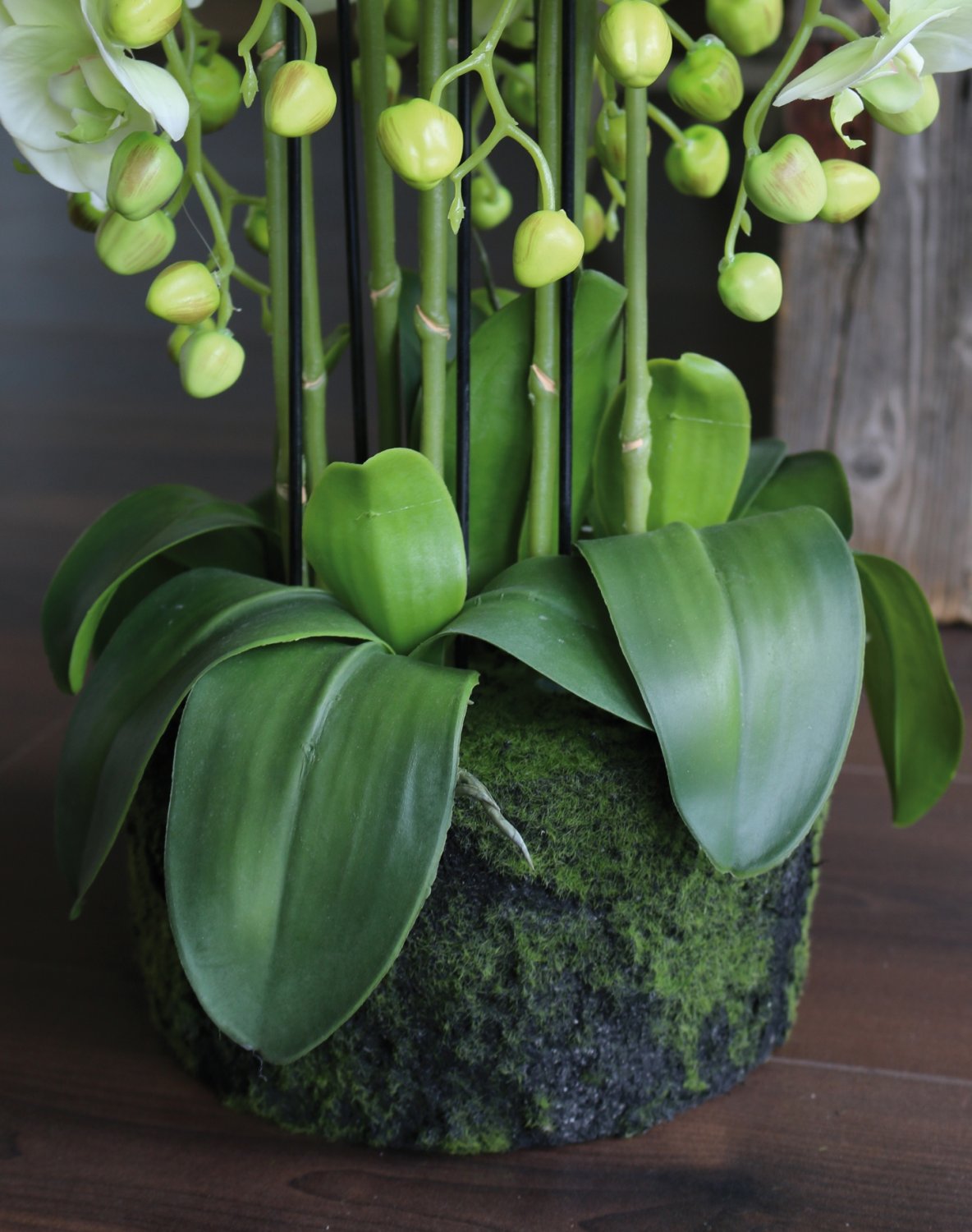 2861 788 a3 Пластиковая орхидея Phalaenopsis с 'почвой', 9-кратная, 70 см, real touch, бежево-зеленая H-andreas  - Вид №10