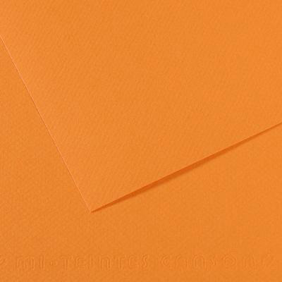 200321664 Бумага для пастели Mi-Teintes 160 г/м2 А4 21 х 29.7 см лист №384 буйволовая кожа Canson 