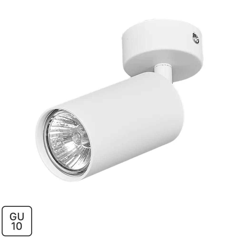 Arte Lamp Arius — поворотный спот для акцентного освещения 82138002 STLM-0020143