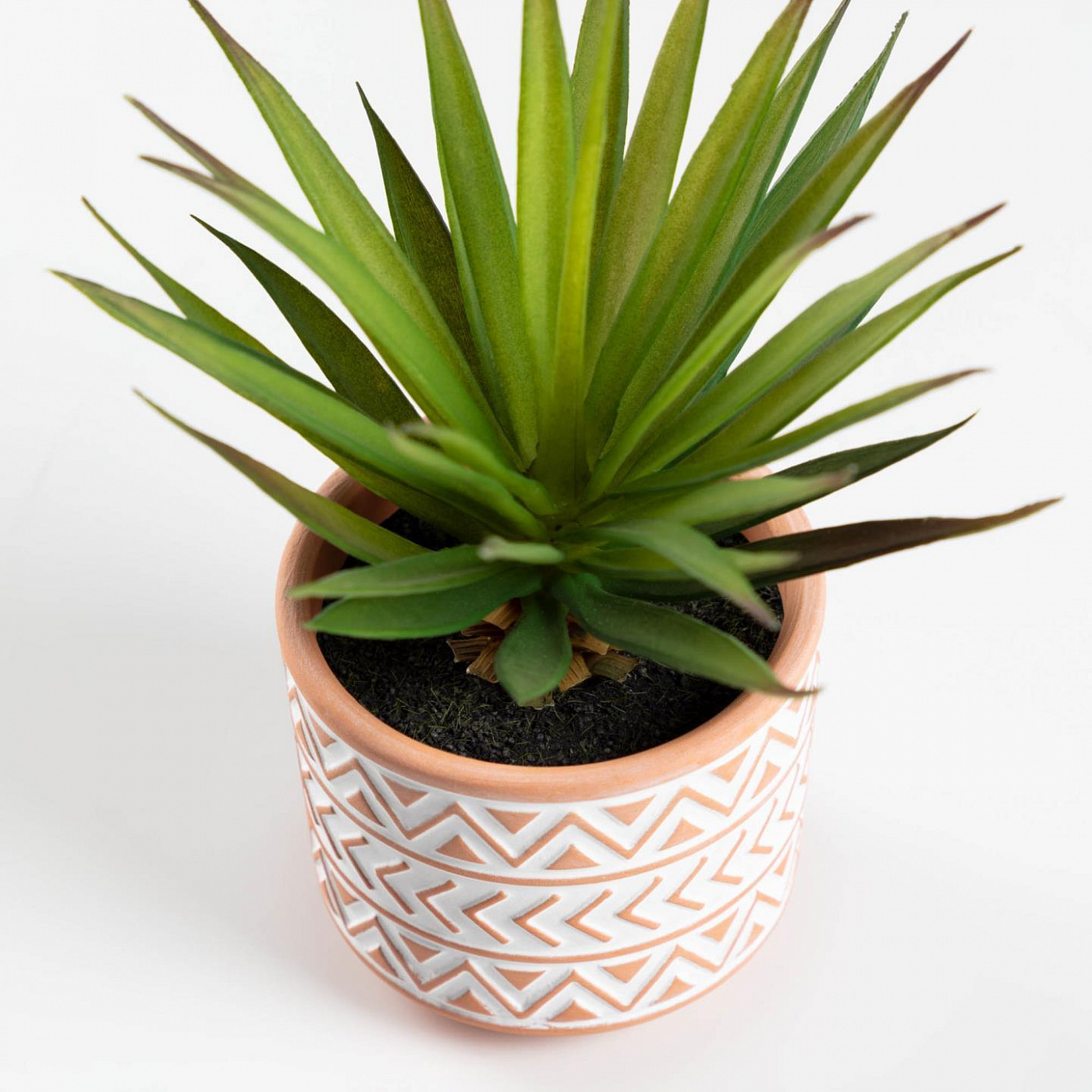 083803 Искусственное маленькое пальмовое растение Flower La Forma Palmera - Вид №1