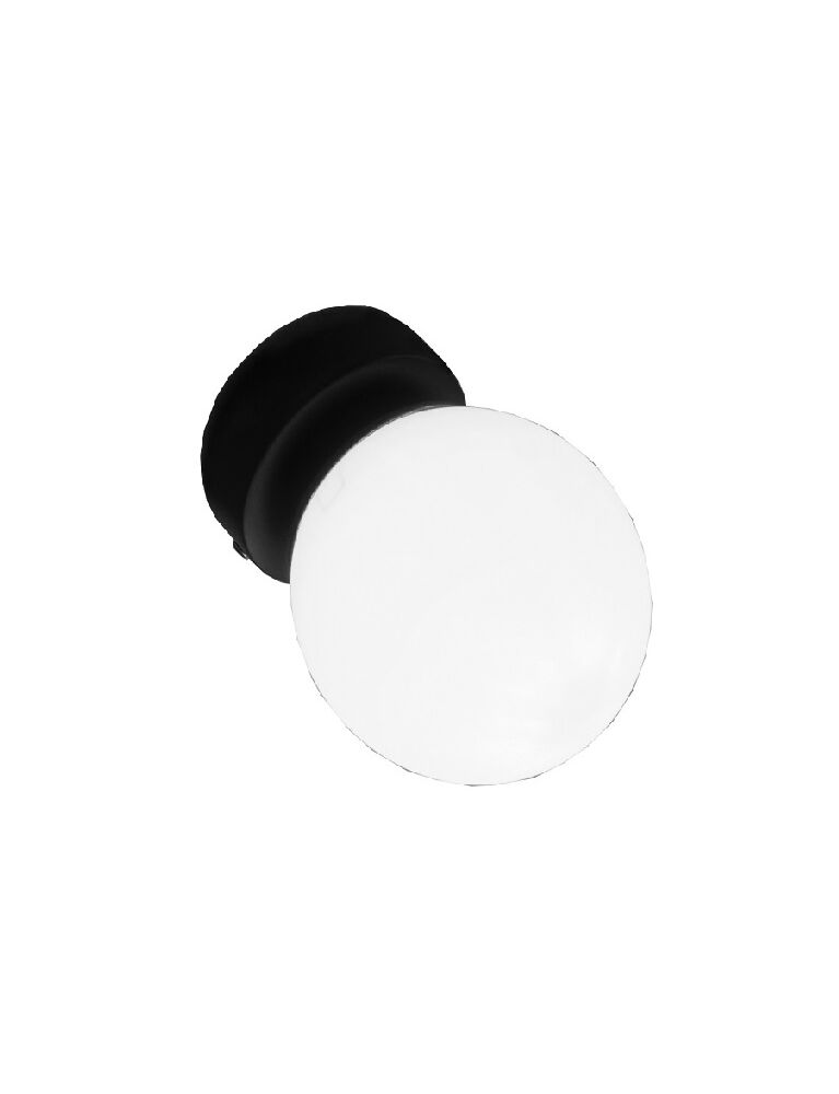 1239 Minima — BALL Gaia 