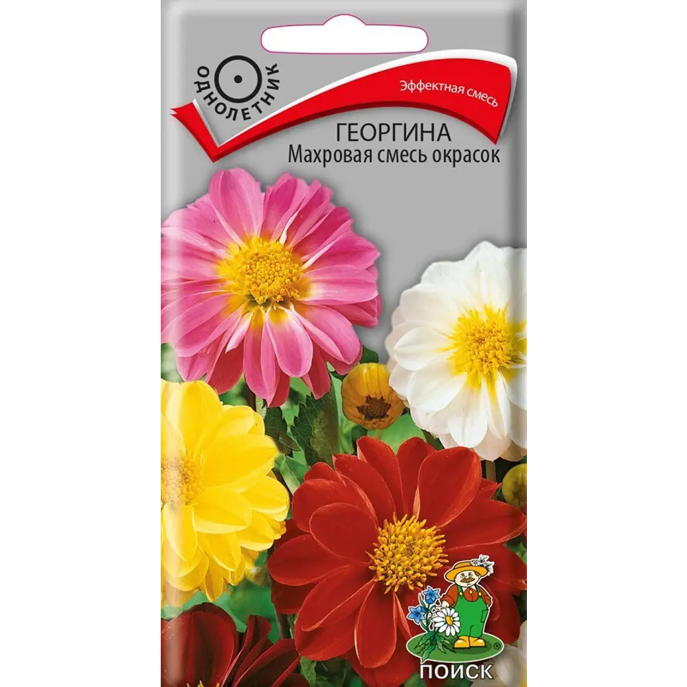 Семена Георгина «Махровая» смесь окрасок 83227381 STLM-2175862 ПОИСК 