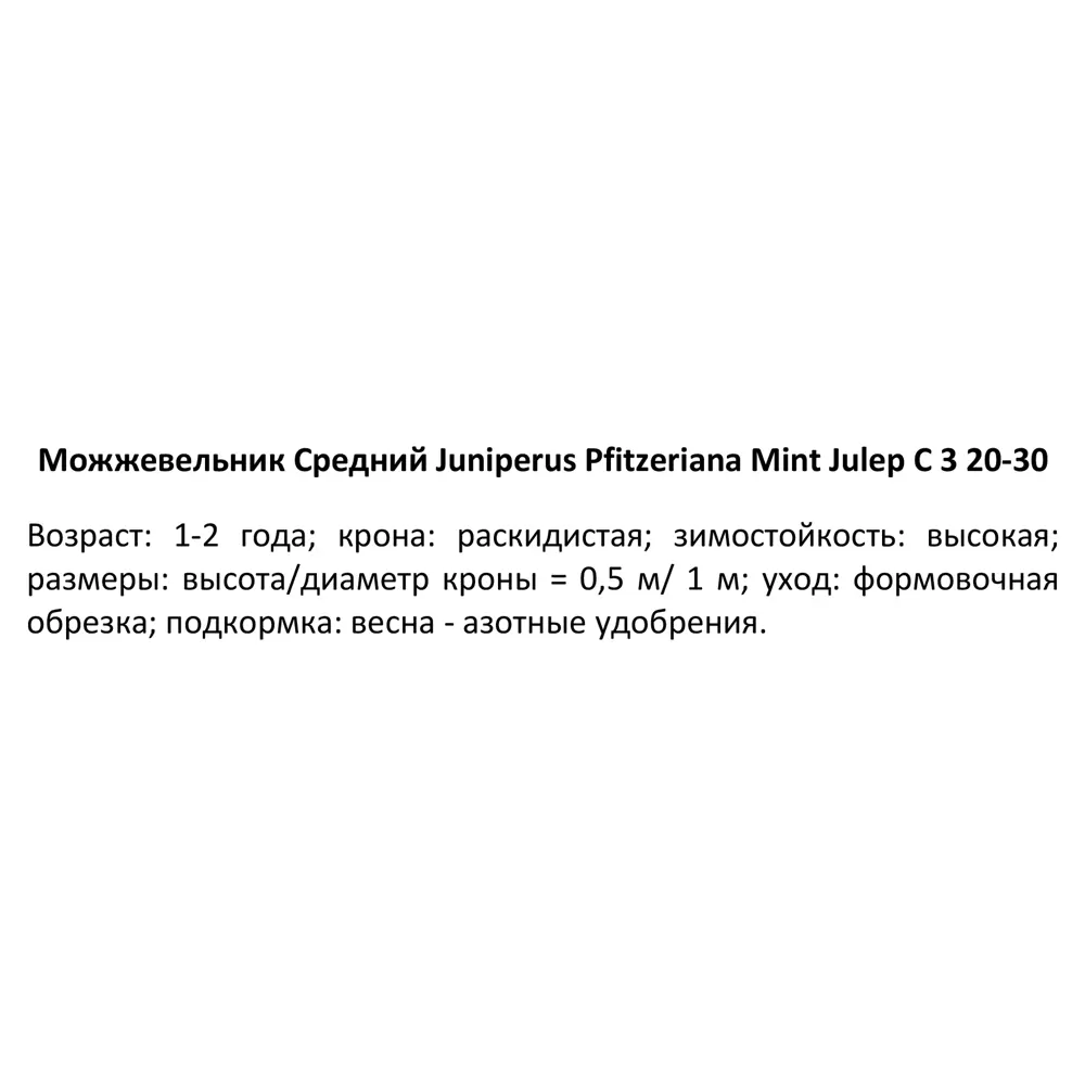 Можжевельник средний Минт Джулеп ø19 h20-30 см PLANTMARKET STLM-2200001 - Вид №2