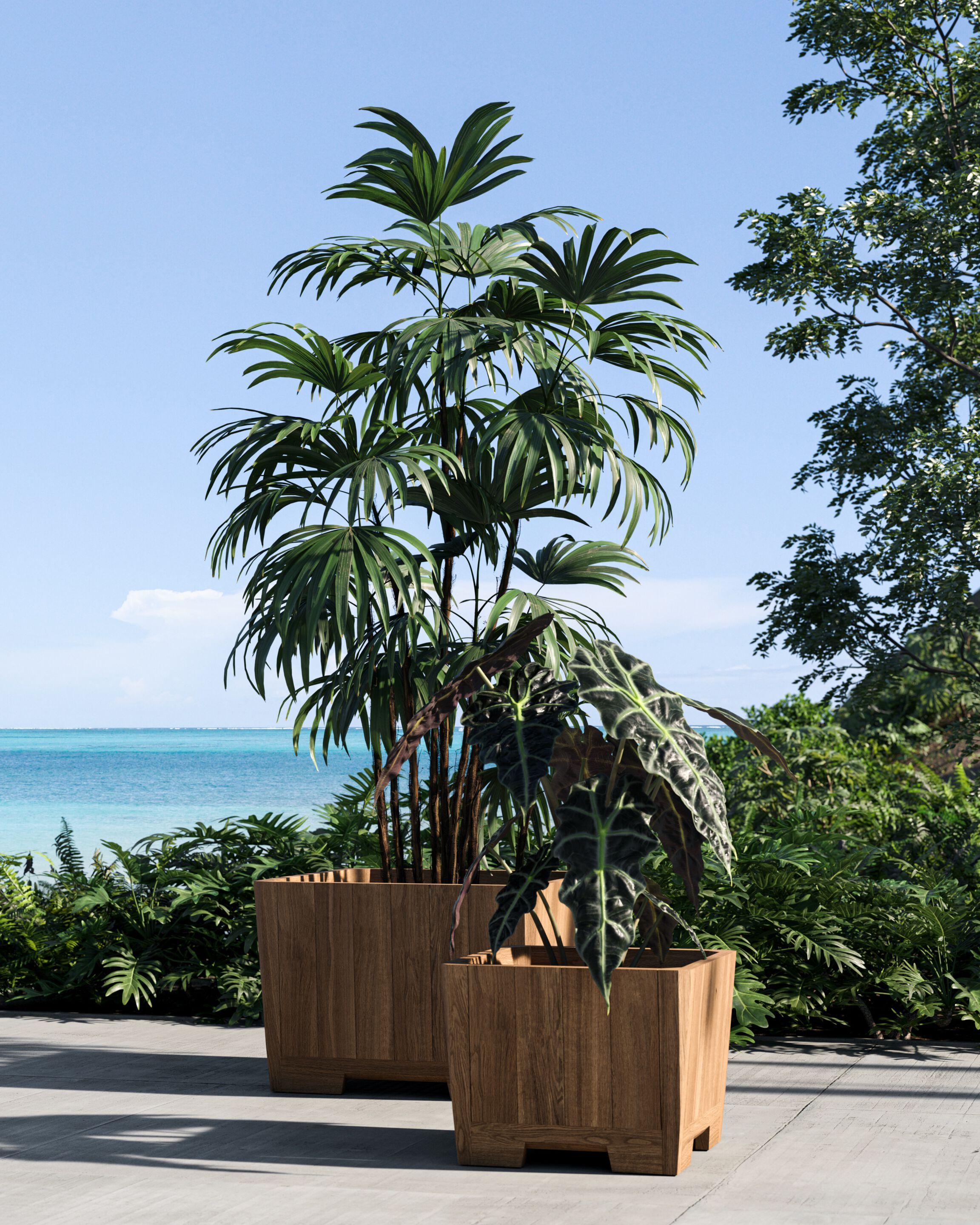 Квадратная плантатор из тикового дерева Royal Botania Botaniq ARCH-00115969 - Вид №2