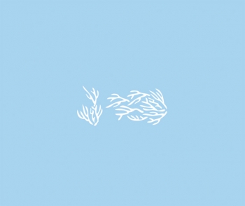 3837500 Трафарет пластиковый, коралл, 15x30 см, упак. 1 шт. Rayher 