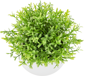 85826004 Искусственное растение Самшит h13 см STLM-0065526 Santreyd