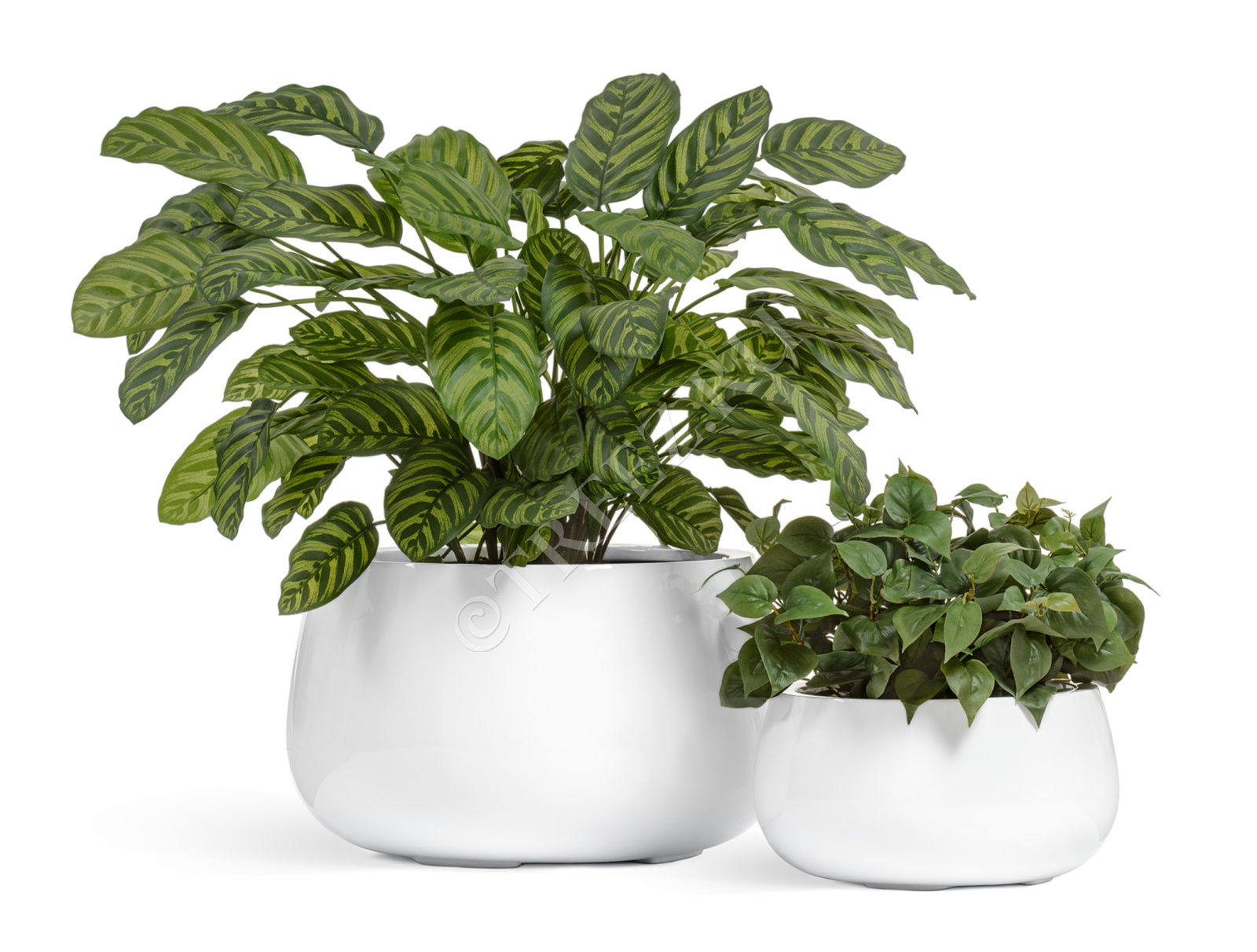 41.3321-05-067-WH-34 Кашпо  Effectory - серия Gloss - Низкая чаша - Белый глянцевый лак Цветочная коллекция  - Вид №3