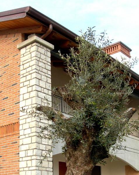 ITALPIETRA Реконструированная каменная облицовка sun-id-1348999 - Вид №6