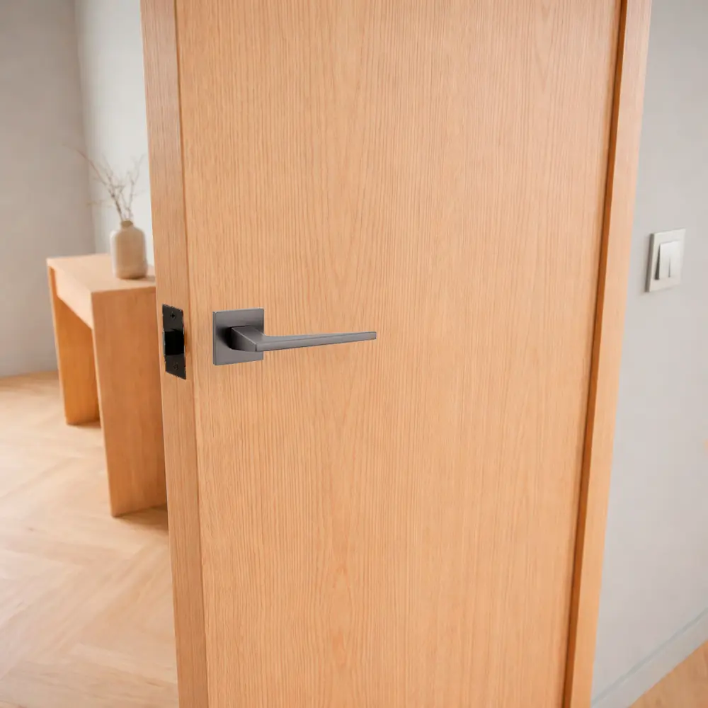 Дверная ручка на розетке Armex H-30171-A без запирания цвет графит STLM-2159181 - Вид №5