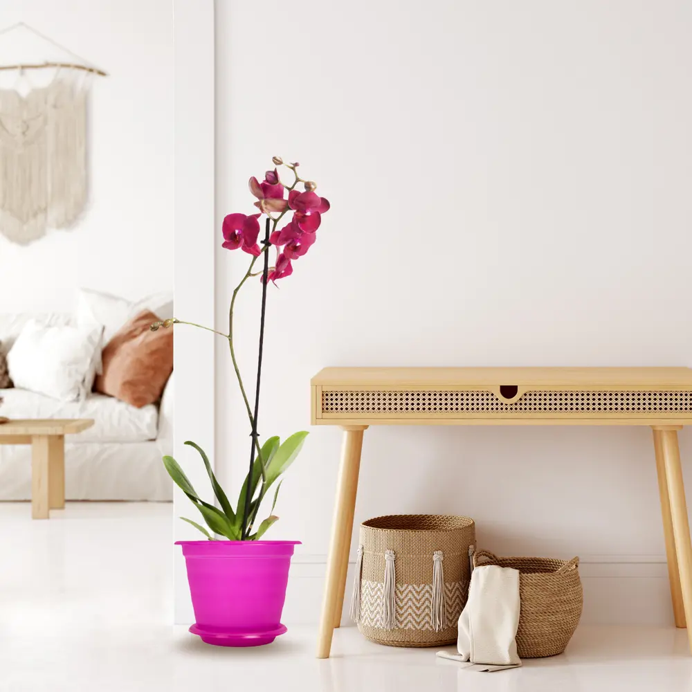 Santreyd Орхидея Фаленопсис микс с элегантной цветочной стрелкой 12725420 STLM-0957792 - Вид №4