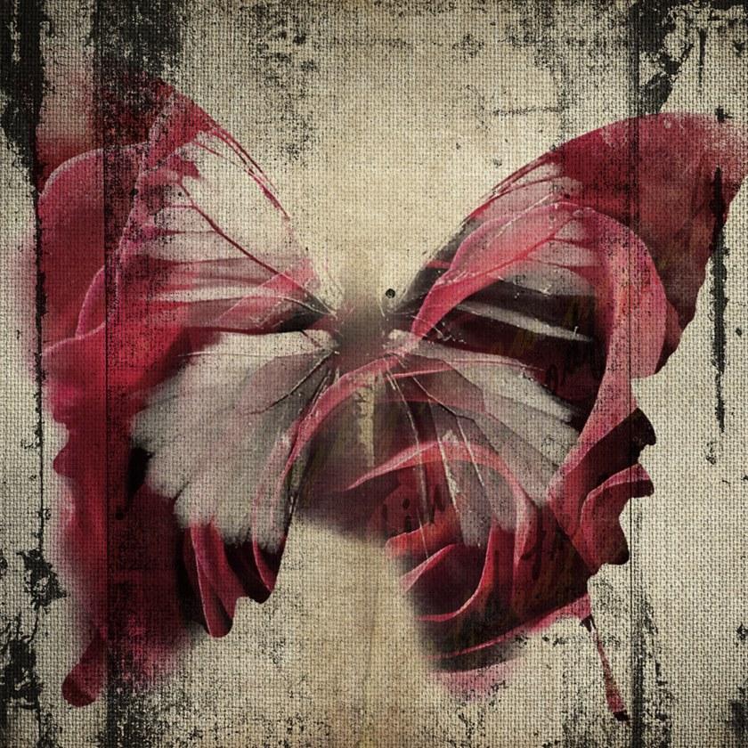 MOMENTI Художественная печать Crazy home paintings 084 - Вид №1