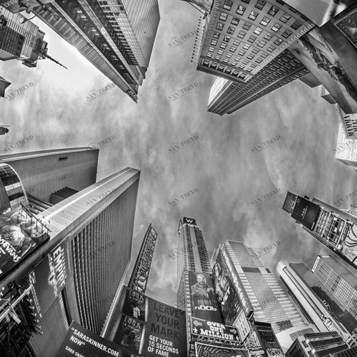 C1-158 Фотообои DIVINO Collection C 2.7х3 м C1158