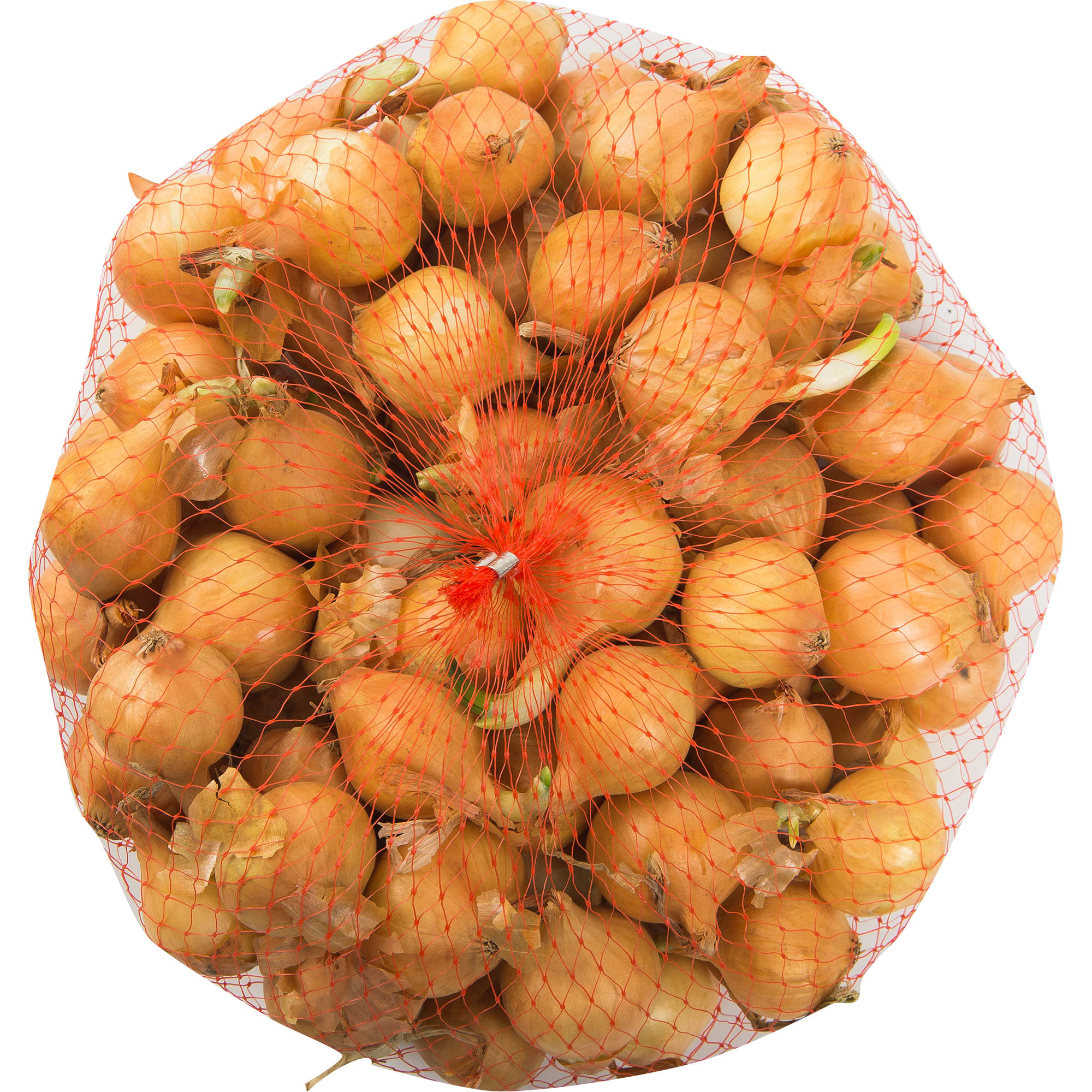 82585505 Лук севок Штуттгартер ризен 0.5 кг Santreyd 