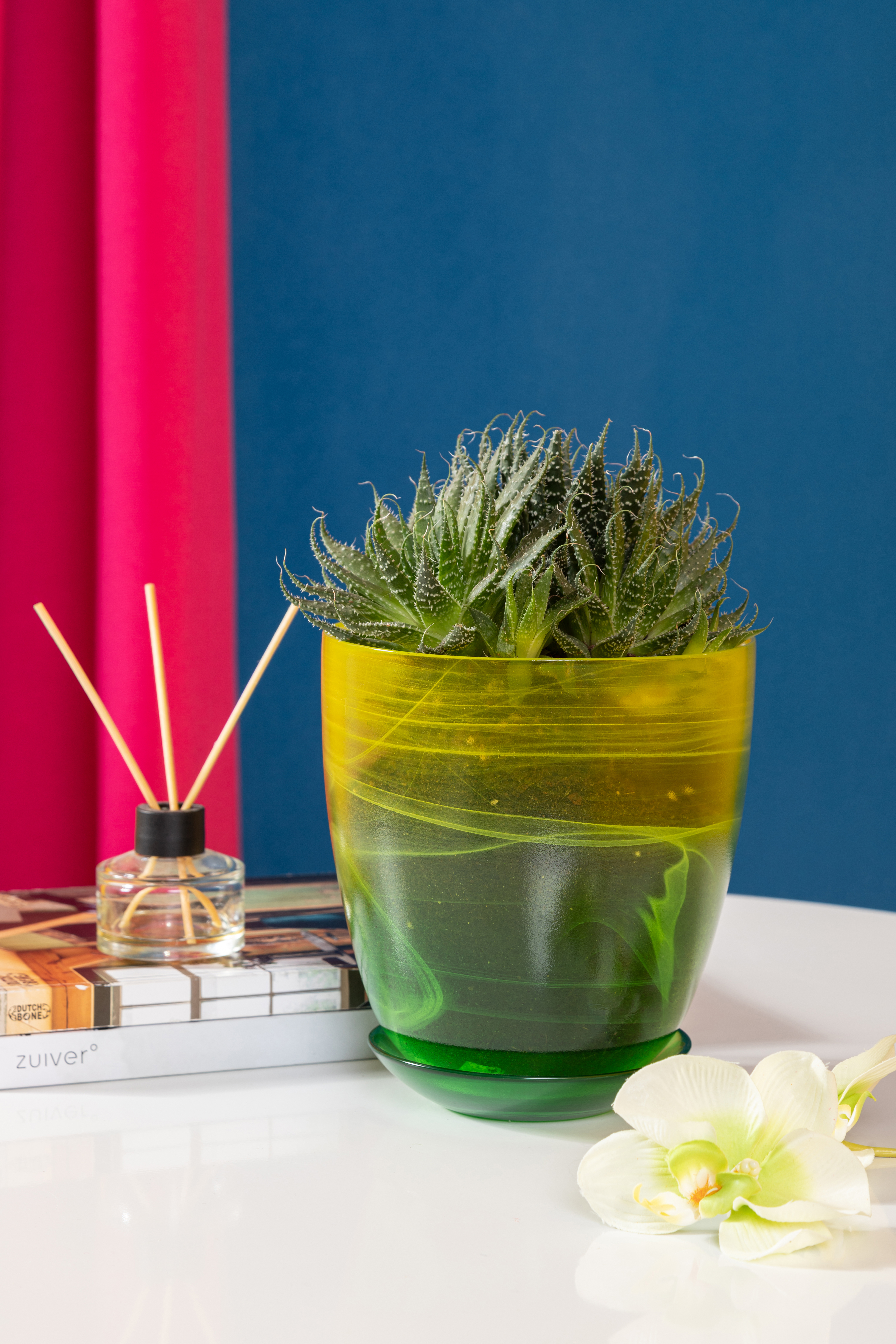 Алоэ микс Santreyd - целебный суккулент для дома 15745419 STLM-0006293 - Вид №4