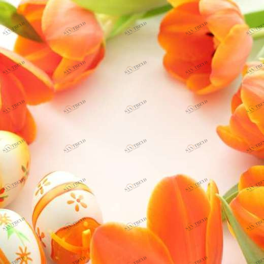 WP02549 Фотообои Verol Фотообои decoline 1х1 м