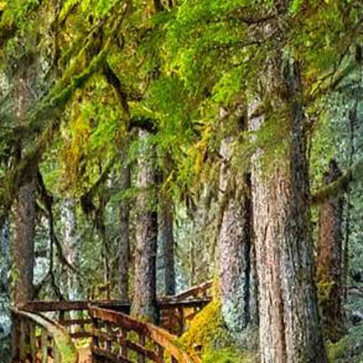 L-030 Фотообои DIVINO L&P 1х2.7 м L030