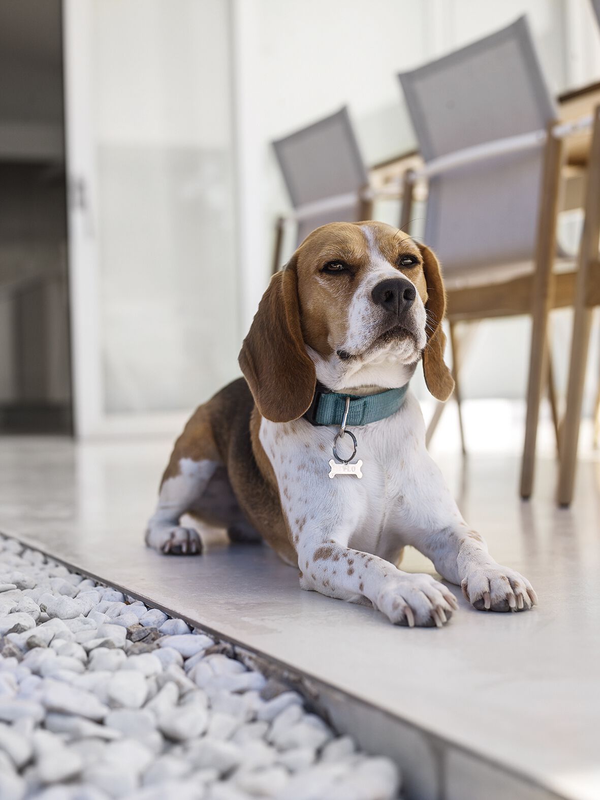 Тканевый штабелируемый садовый стул с подлокотниками Gloster Sway ARCH-00021310 - Вид №9