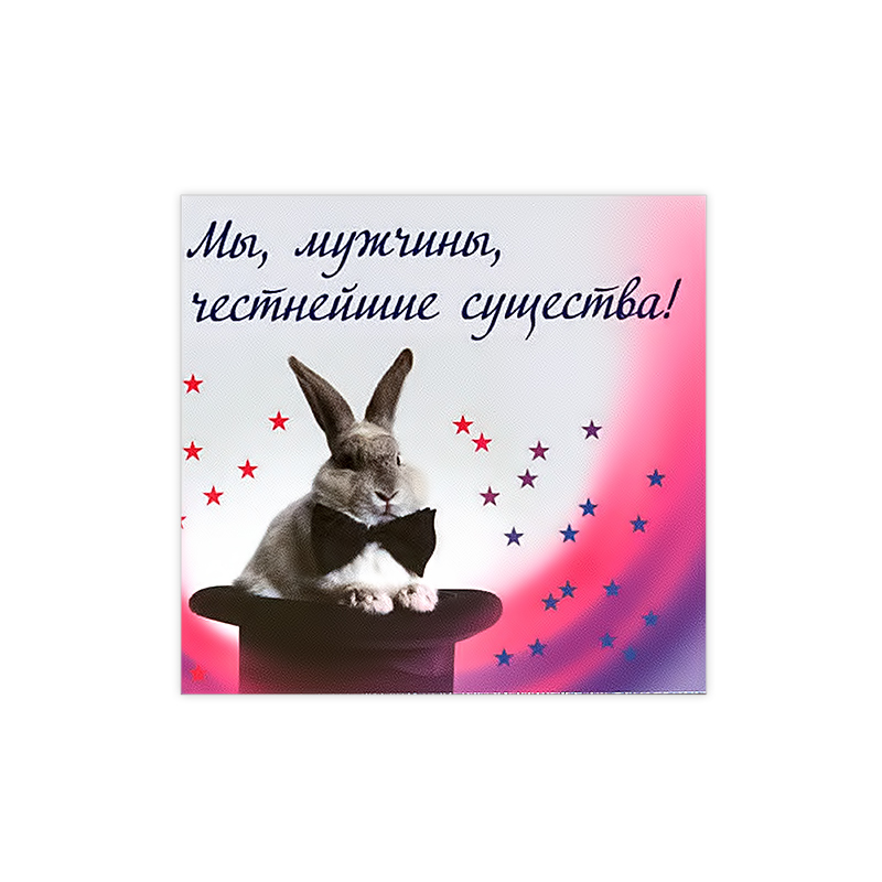 1038 Магнит ПВХ 8.5 x 5 см Мы, мужчины Santreyd 