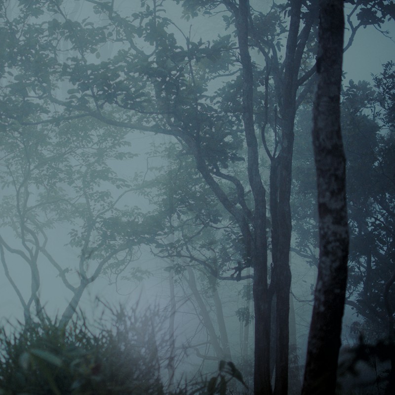 WP02025A Обои декоративные Adriani e Rossi 