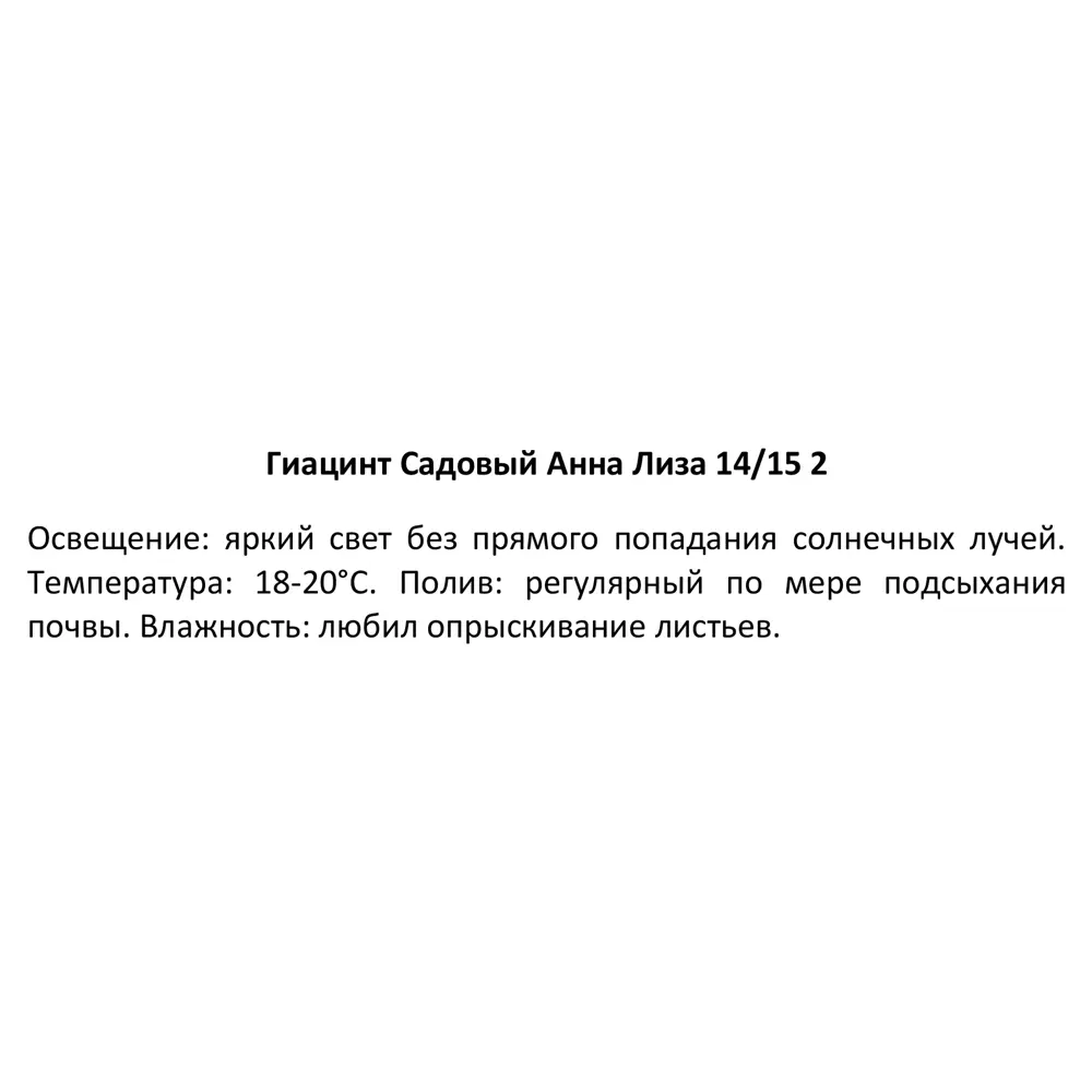 Гиацинт садовый Анна Лиза, 2 шт Santreyd STLM-2137645 - Вид №2