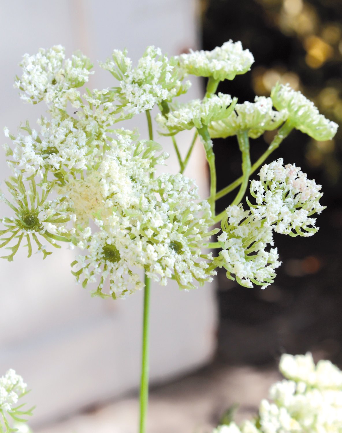 3535 777 a2 Шелковый тысячелистник, 3 цветка, 65 см, белый H-andreas  - Вид №5