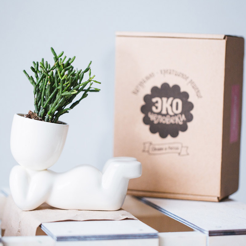 1003 Набор для выращивания eco мечтатель Экочеловеки  - Вид №8