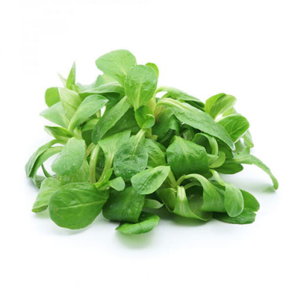 Салат Корн Santreyd 18765