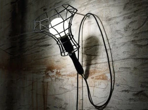 ZAVA Бра с прямым светом Lady cage