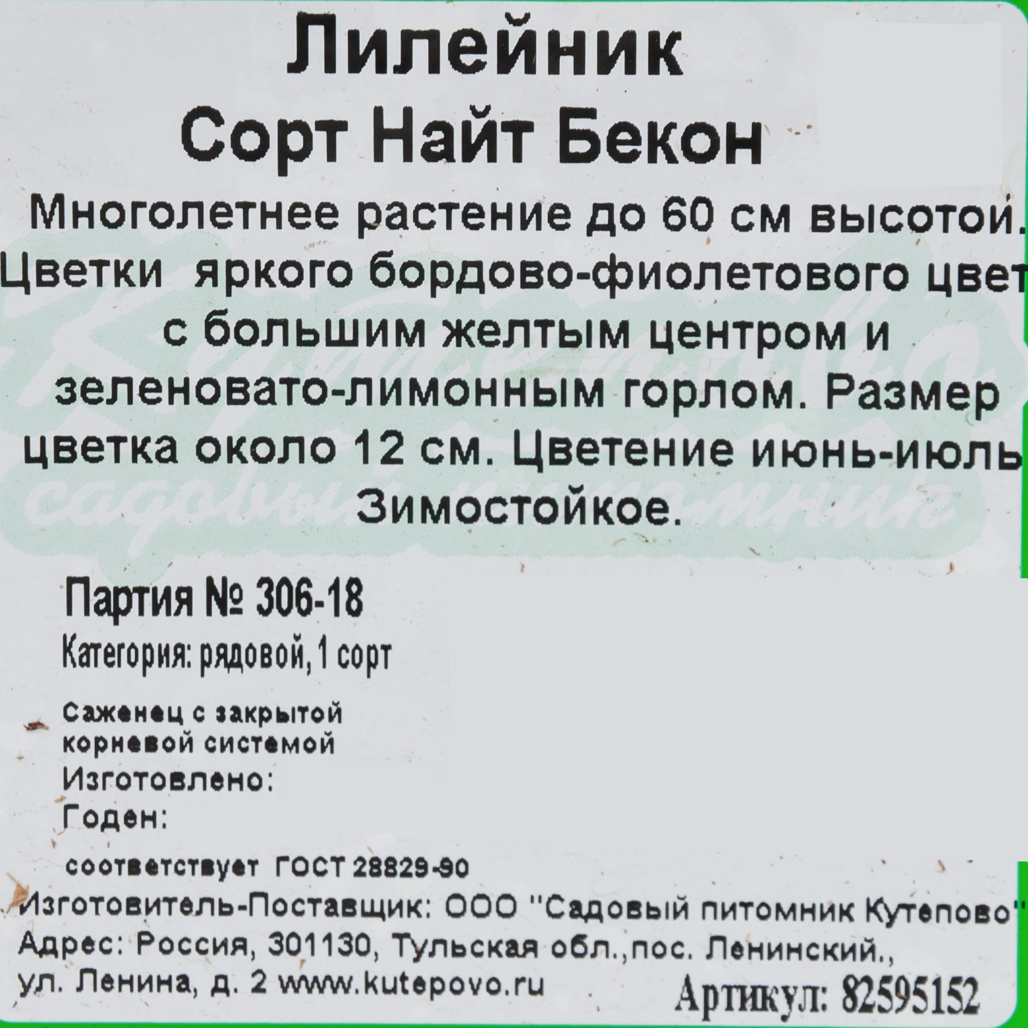 82595152 Лилейник «Найт Бекон» 15x15 см Santreyd  - Вид №1