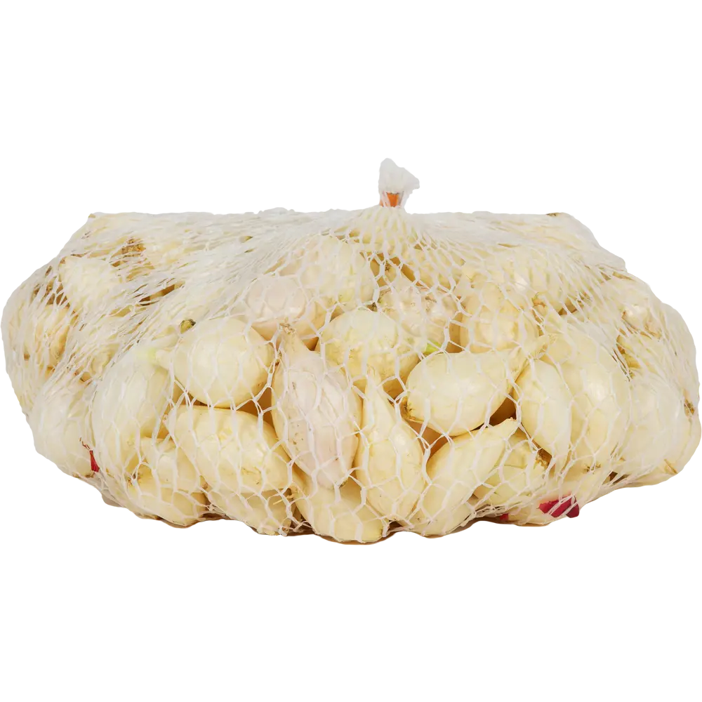 Лук-севок «Стардаст», диаметр луковицы 14-21 мм 82124883 STLM-2061091 Santreyd 