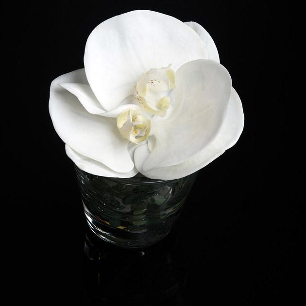 VGnewtrend Искусственное растение  1141033.95  - Вид №1