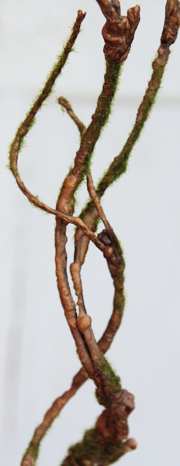 3398 666 a3 Ветка декоративная искусственная 'curly', 76 см, коричневая H-andreas  - Вид №2