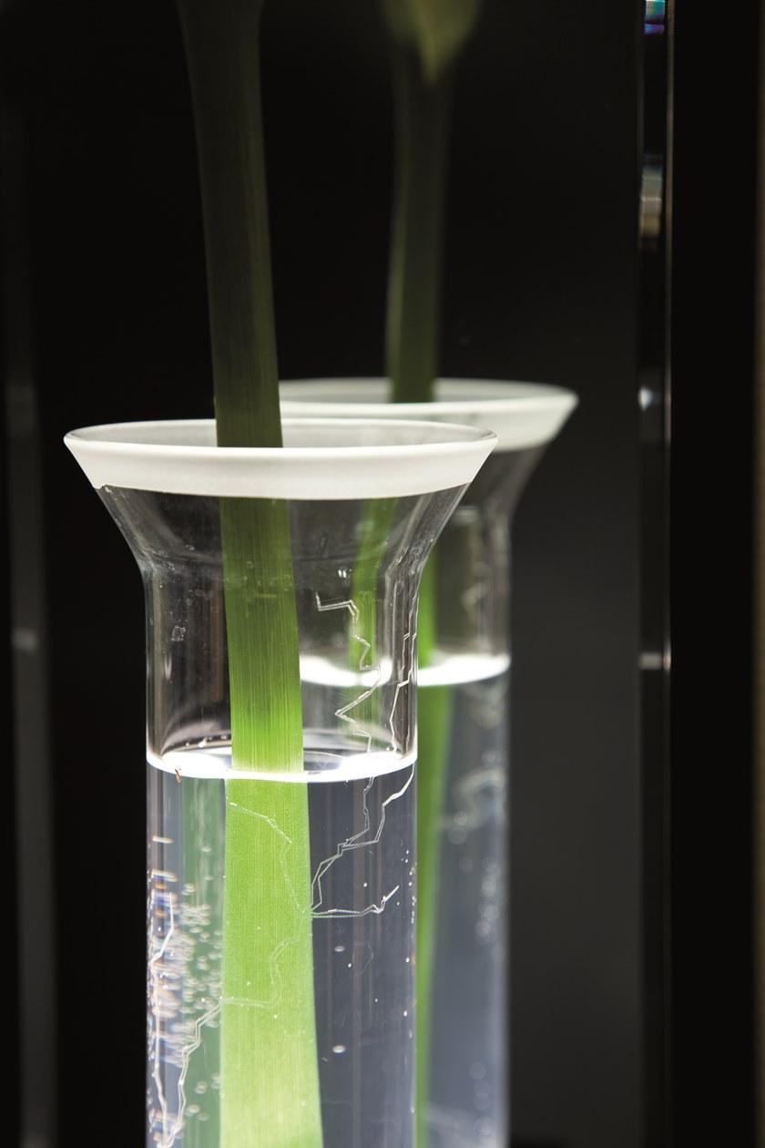 Contardi Аппликация светодиода Lala sun-id-1481034 - Вид №5