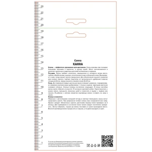 Канна зеленолистная Бриллиант