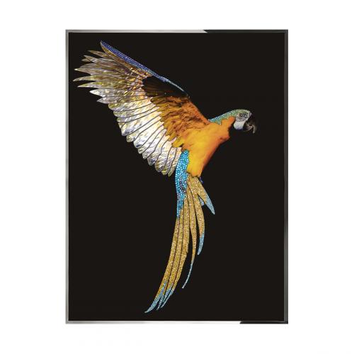 Parrot Ara Смешанная техника Visionnaire 