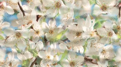 Декор Dec Spring Panno B 25х45 Ceradim sun-id-324802